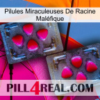 Pilules Miraculeuses De Racine Maléfique 15
